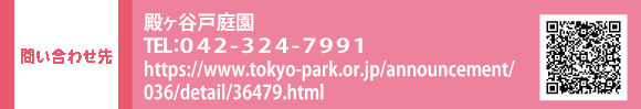 ₢킹 aJ˒뉀 TELFOSQ-RQS-VXXP@HPFhttps://www.tokyo-park.or.jp/announcement/036/detail/36479.html