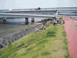 Building Riverside Environments (Nakagawa River, Edogawa Ward)