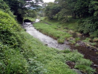 管轄河川等の紹介　成木川の写真