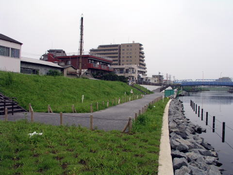 平井橋下流右岸の写真