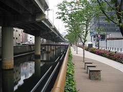 千代田区飯田町土地区画整理事業の際に植えられたコバノランタナの写真1