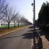 多摩川サイクリングコース写真