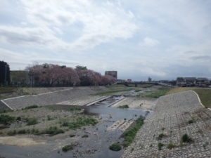 南浅川の写真